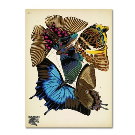 Vintage Apple Collection 'Papillons 16' Canvas Art,35x47